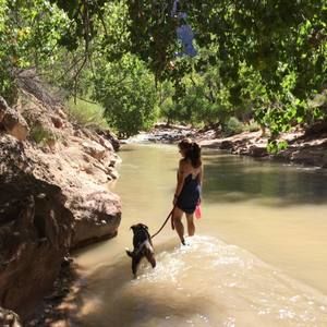 Meet your Posher, Sharon